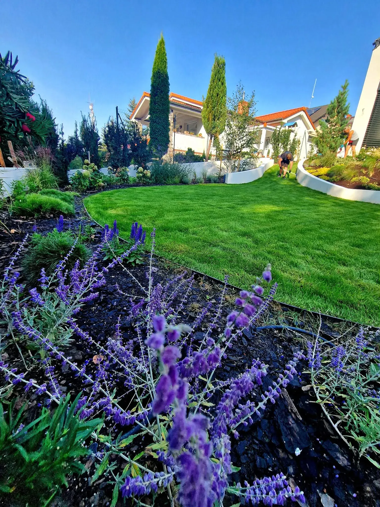 Proyecto de jardín de Md Global